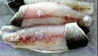 Lay fish flat on ruler.