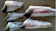Lay fish flat on ruler.
